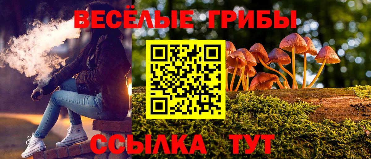 Галлюциногенные грибы Magic Shrooms  где купить наркотик  Луга  Вход с VPN  Псилоцибиновые грибы MAGIC MUSHROOMS 