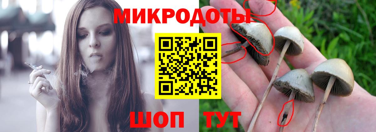 Галлюциногенные грибы мухоморы Луга